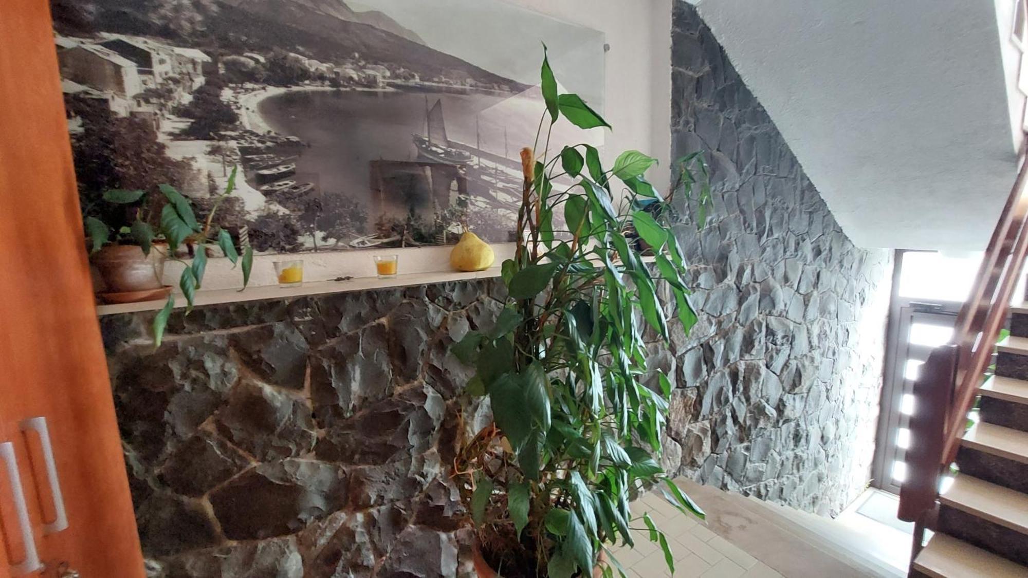 Haus Sonja Apartamento Podgora Exterior foto
